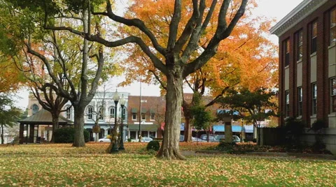 Blowing Leaves at the Courthouse Stock Footage 43440353