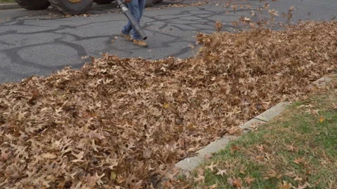 Blowing off leaves falling from trees in man using a blower, a cleaner works Stock Footage 161803681