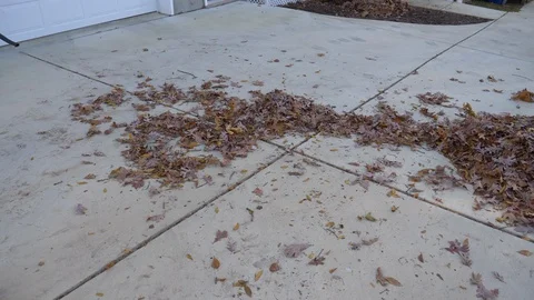 Blowing leaves with a small leaf blower1 4K Stock Footage 120302806