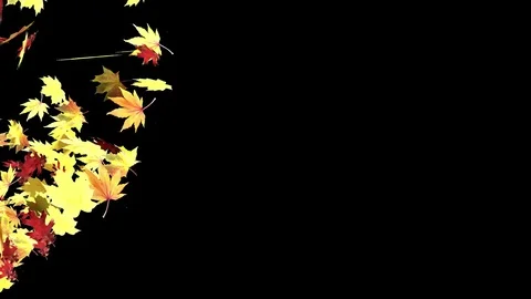 Blowing Leaves Video Transition with Alpha Channel Vidéo 75404326