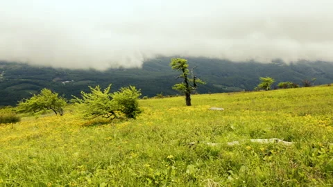 Blowing mist and clouds on Whitetop Mountain in Appalachia in Southwest Virginia Stock Footage 155026787