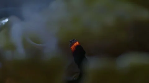 Blowing out an old candle Stock Footage 203973715