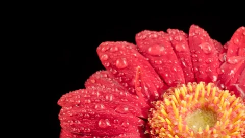 Blowing rain drops. Stock Footage 98211322