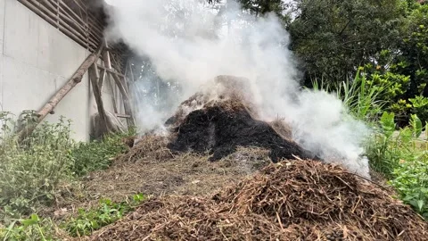 Blowing Smoke From Burning Grass Stock Footage 333693474