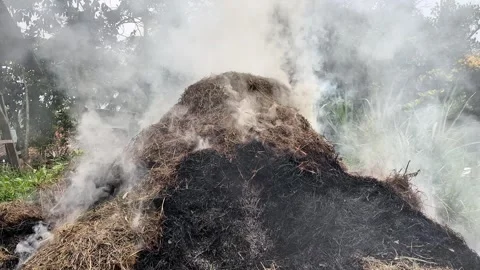 Blowing Smoke From Burning Grass Stock Footage 333693489