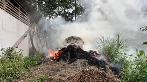 Blowing Smoke From Burning Grass Stock Footage 333693503