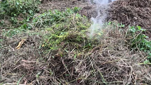 Blowing Smoke From Burning Grass Stock Footage 333693506