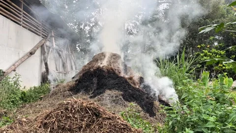 Blowing Smoke From Burning Grass Stock Footage 333693517