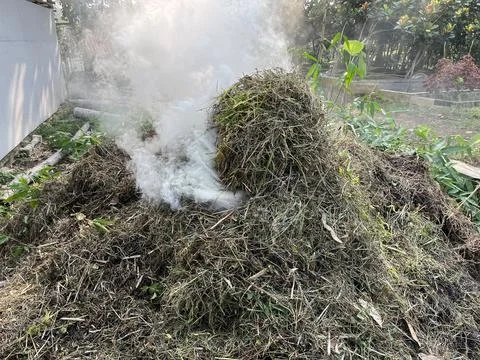 Blowing Smoke From Burning Grass 库存照片