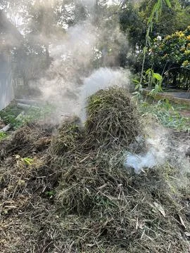 Blowing Smoke From Burning Grass Foto stock