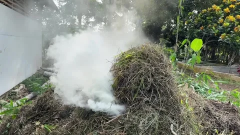 Blowing Smoke Stock Footage 311396433