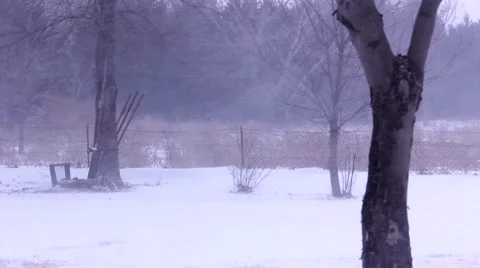 Blowing Snow in field 2 스톡 동영상 40713569