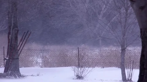 Blowing Snow in Field 動画素材 40713495