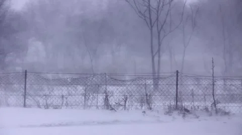 Blowing Snow in a field Stock-Footage 40713594