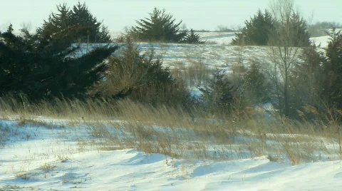 Blowing Snow Stock Footage