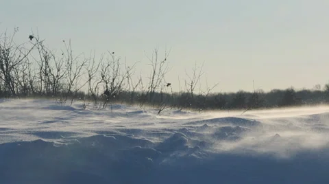 BLOWING SNOW Stock Footage 35840038