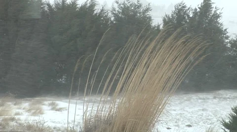 Blowing Snow Stock Footage 54752426