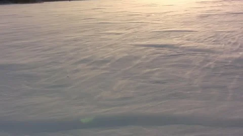 Blowing snow in warm light to camera Stock Footage 263689631