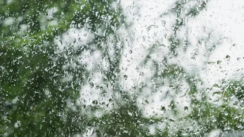 A blowing tree during a storm behind a window with drops of rainwater Stock Footage 248643630