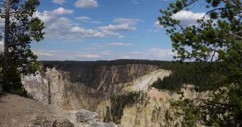 Blowing trees over huge canyon 4k 24fps Stock Footage 79296288
