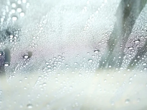 Blowing of water drops Stock Footage 74513514