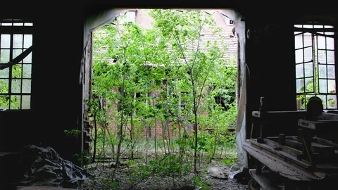 Blowing wind abandoned house Stock Footage 89501591