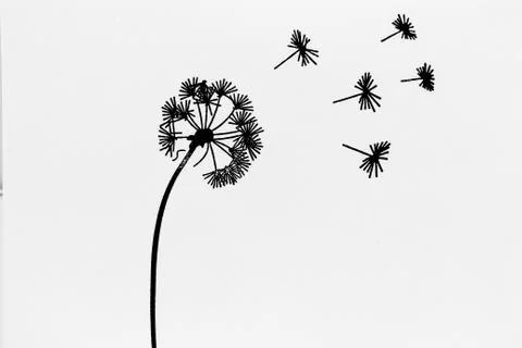 Blowing in the Wind Stock Photos