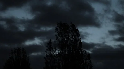 Blowing Wind Tree and Spooky Rain Clouds HD Stock Footage 32077802