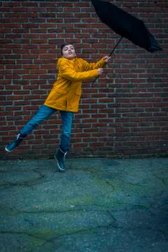 Blown away by the wind Stock Photos