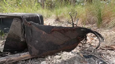 Blown car tyre left in bush illegal dumping Stock Footage 211004241
