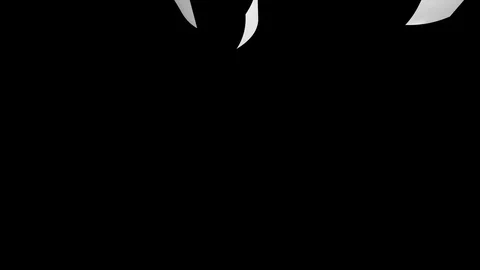 Blown empty paper isolated on black background. Documents flying in air in bu Stock Footage 102015852