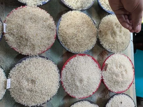 Blows of different types of rice samples on top a table Stock Photos