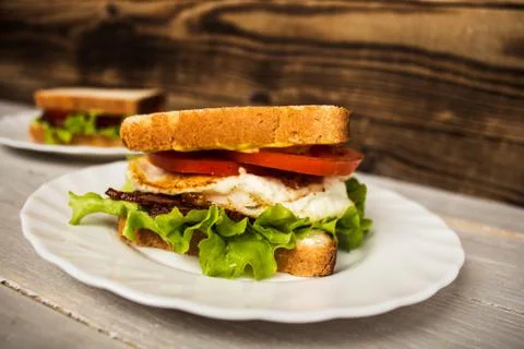 Blt sendwich with egg Stock Photos