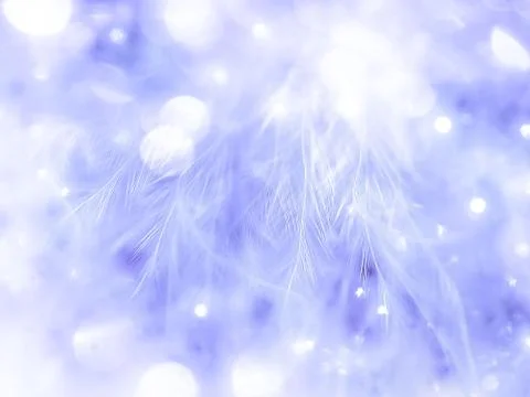 Blu feather pattern texture background with bokeh Stock Photos