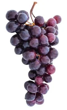 Blu Grapes Stock Photos