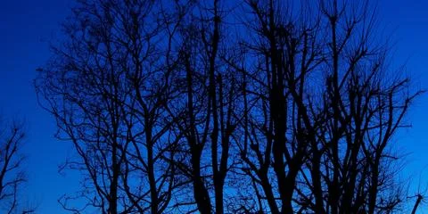 Blu night Stock Photos