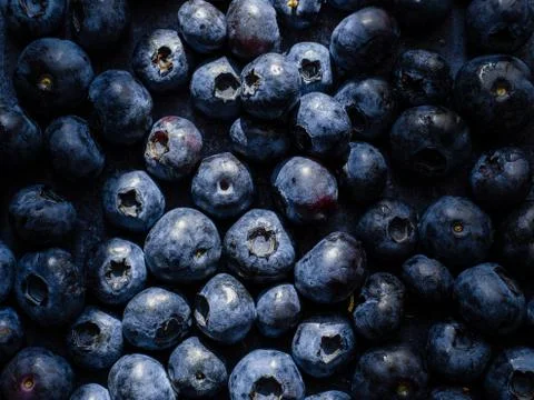 Bluberries Stock Photos