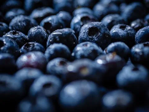 Bluberries Stock Photos