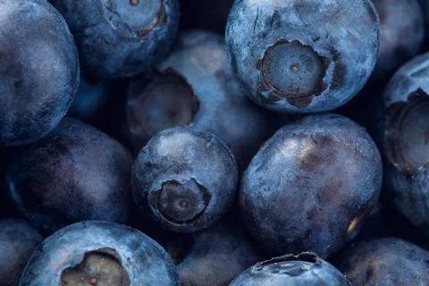 Bluberries Stock Photos