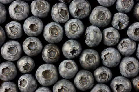 Bluberry Foto stock