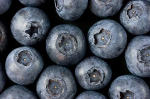 Bluberry Stock Photos