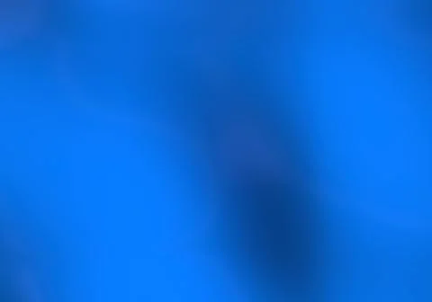 Blue abstract background - 3d wavy smooth surface - light and reflections Stock Illustration