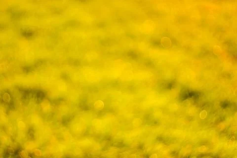 Blue abstract background with blurry texture Stock Photos