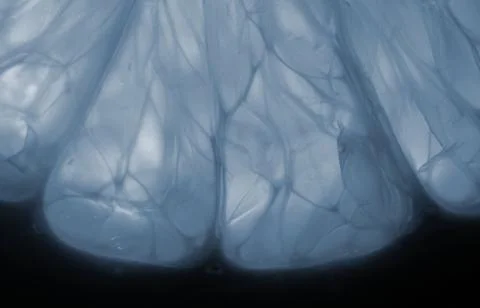 Blue abstract background Foto stock