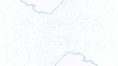 Blue abstract background on white Stock Footage 125097525