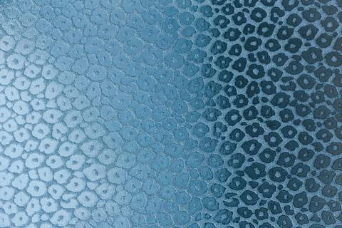 Blue abstract festive background with leopard pattern. Template for designer. Stock Photos