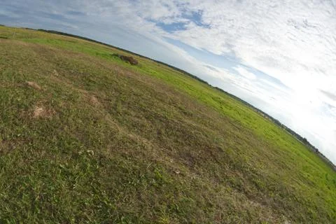 Blue abstract sky background, grass at field. Photo taken on a wide-angle lens. Stock Photos
