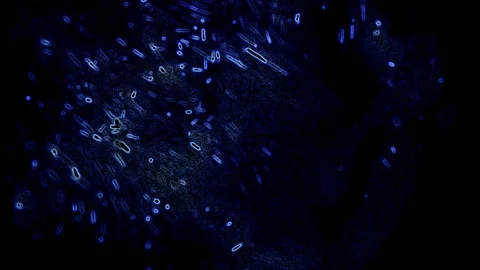 Blue abstraction on a black background 库存影片 125172233