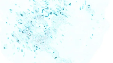 Blue abstraction on a white background 库存影片 125237571