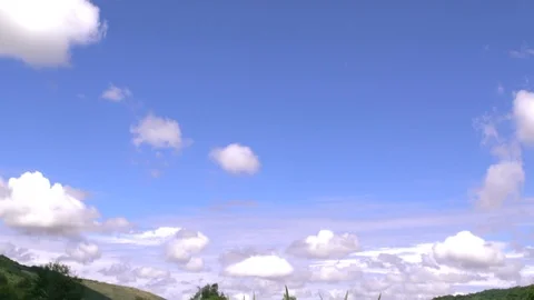 Blue Agave Fields in Tequila Slow Motion Stock Footage 122384128